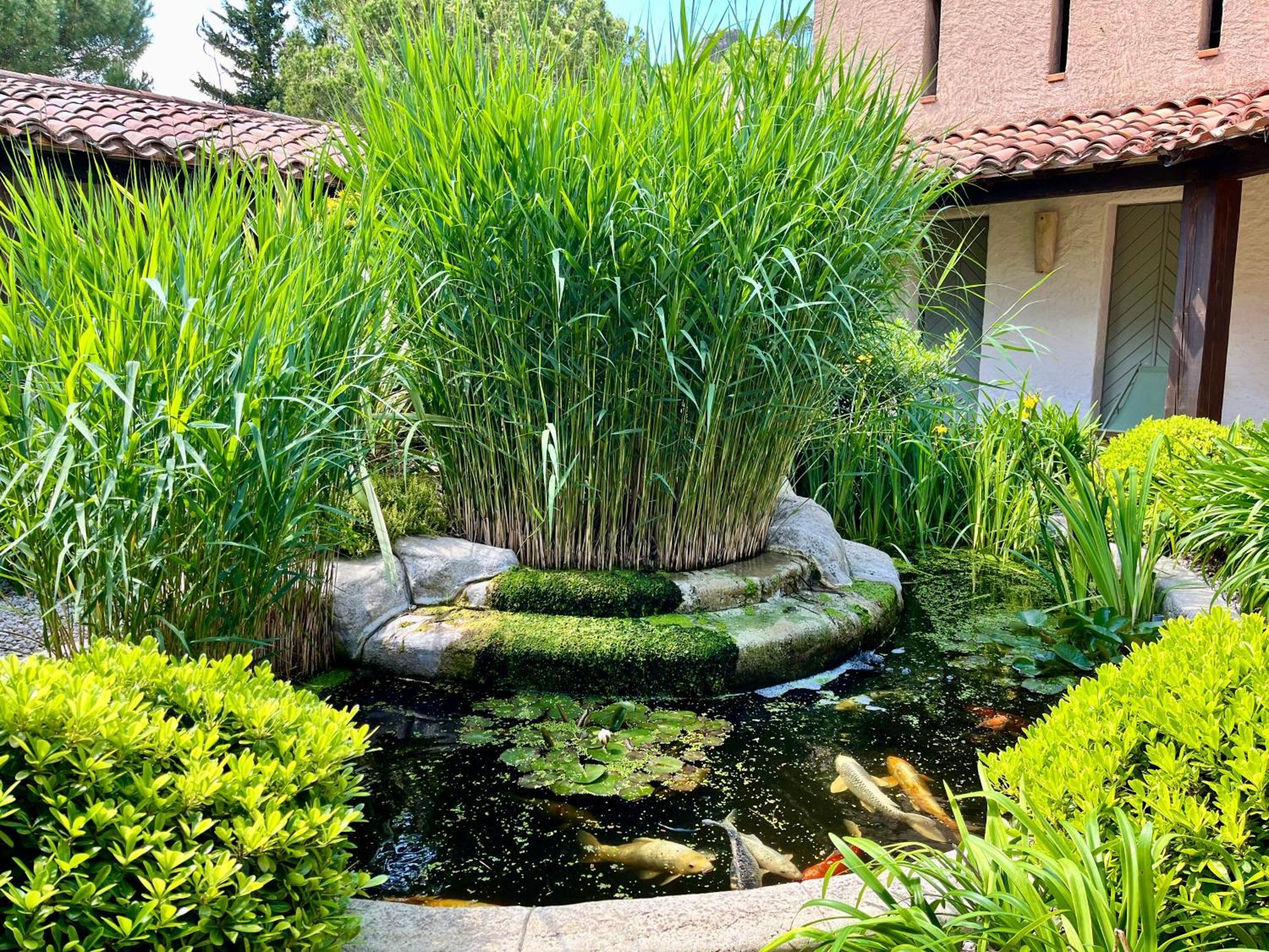 Auberge Val Moureze Hotel & Spa Exteriér fotografie